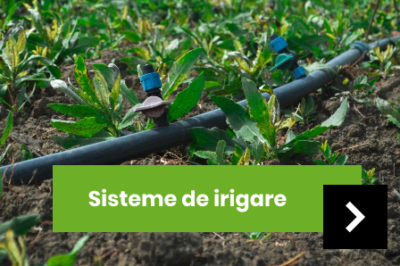 Sisteme de irigare