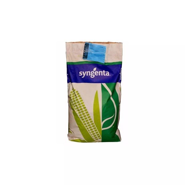 Seminte de porumb Syngenta Enermax 50.000 boabe