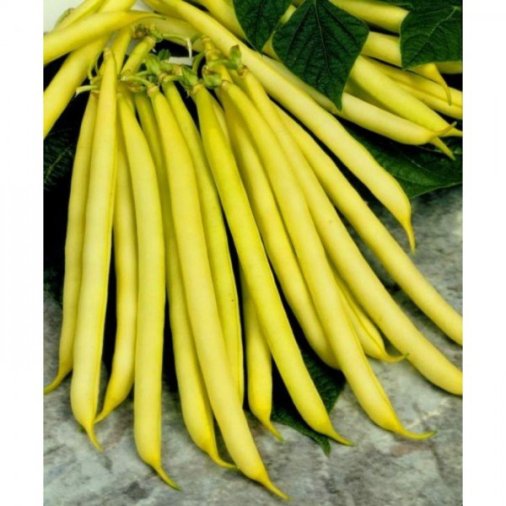 Fasole Berggold 100g