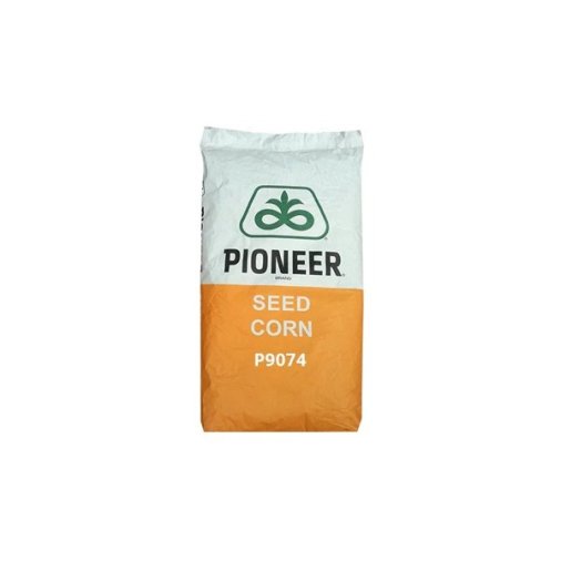 Samanta porumb Pioneer 9074 25.000 boabe