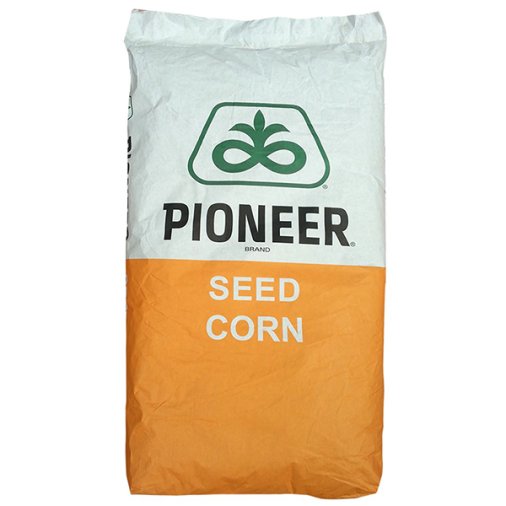 Samanta porumb Pioneer 9889 25.000 boabe
