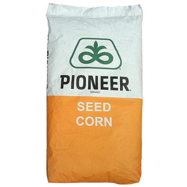 Samanta porumb Pioneer 9889 25.000 boabe
