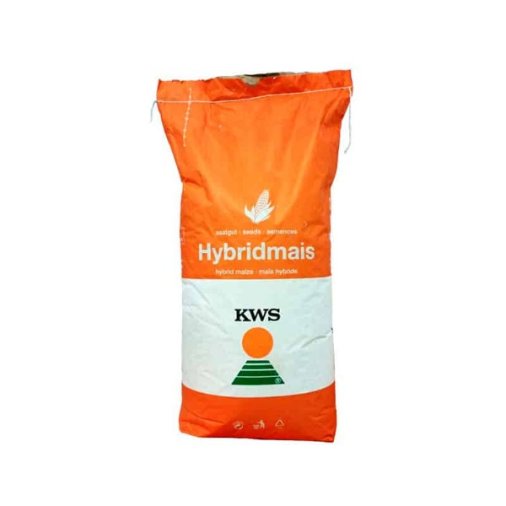 Seminte de porumb KWS Hypolito, FAO 350, 25.000 boabe