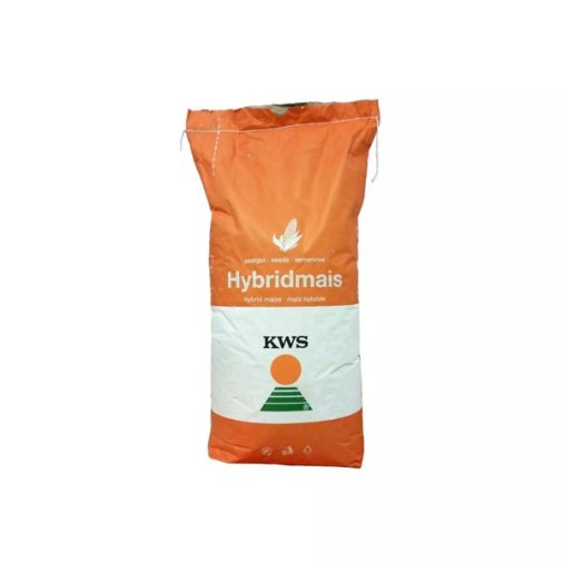 Seminte de porumb KWS Kashmir, FAO 370, 25.000 boabe