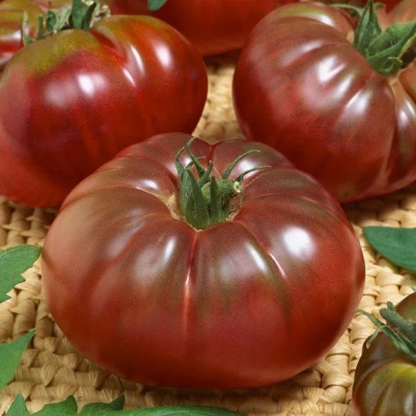 Seminte de tomate negre 0.3gr