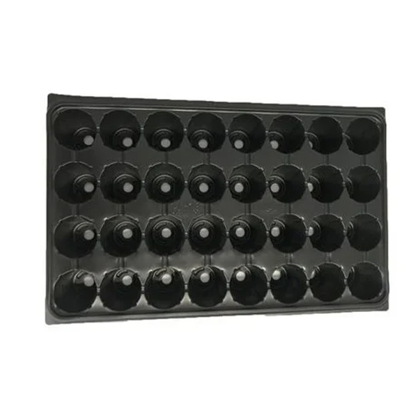 Alveola 32 celule